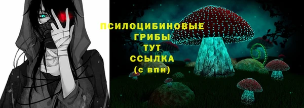 гашик Алзамай
