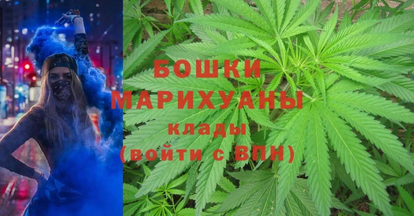 гашик Алзамай