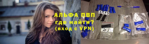 гашик Алзамай