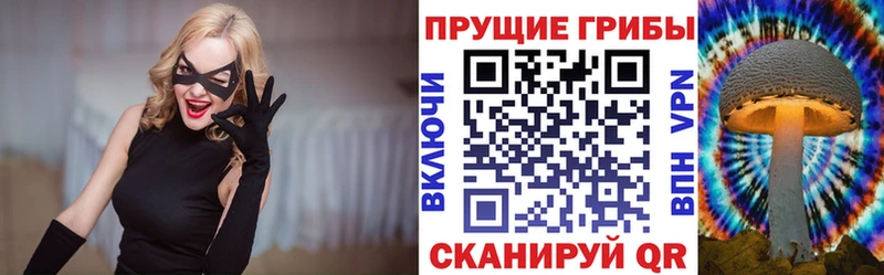 Галлюциногенные грибы мухоморы  Дмитриев 